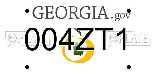 004ZT1 Georgia License Plate