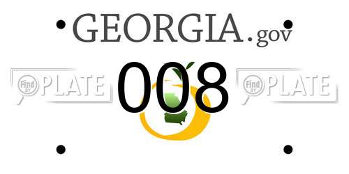 008 Georgia License Plate