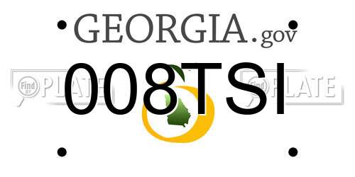 008TSI Georgia License Plate