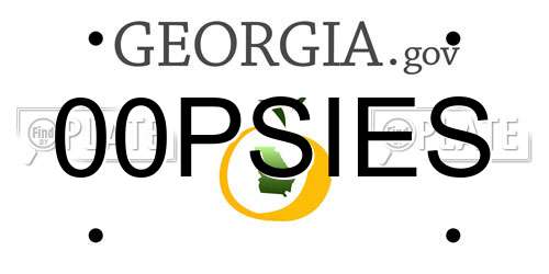 00PSIES Georgia License Plate