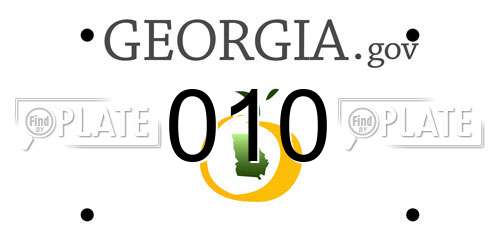 010 Georgia License Plate