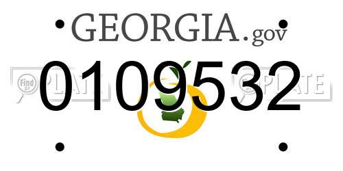 0109532 Georgia License Plate