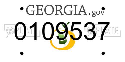 0109537 Georgia License Plate