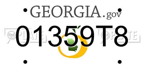 01359T8 Georgia License Plate