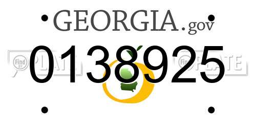 0138925 Georgia License Plate
