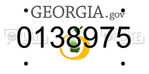 0138975 Georgia License Plate