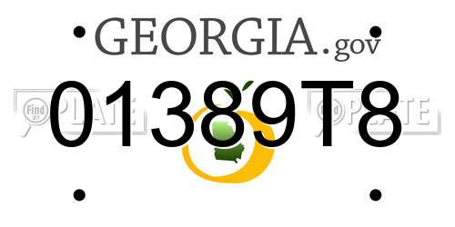 01389T8 Georgia License Plate