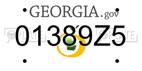 01389Z5 Georgia License Plate