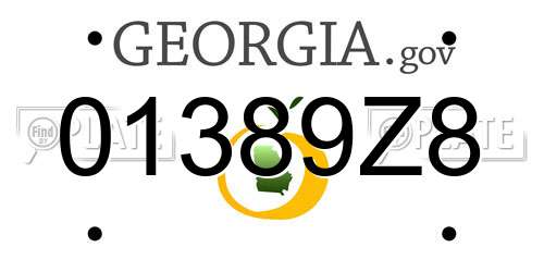 01389Z8 Georgia License Plate