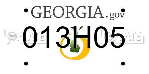 013H05 Georgia License Plate