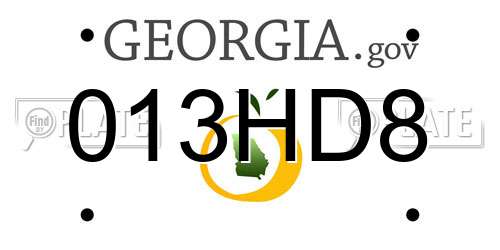 013HD8 Georgia License Plate