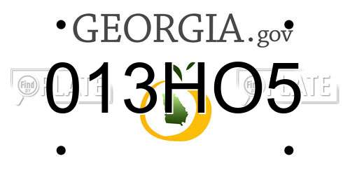 013HO5 Georgia License Plate