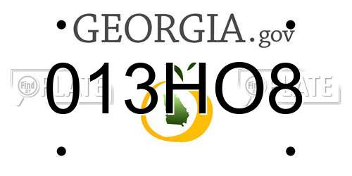 013HO8 Georgia License Plate