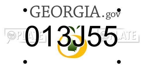 013J55 Georgia License Plate