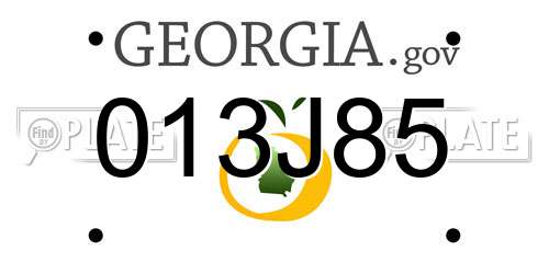 013J85 Georgia License Plate