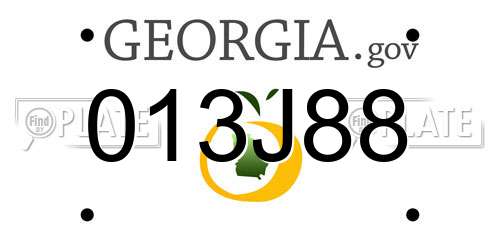 013J88 Georgia License Plate