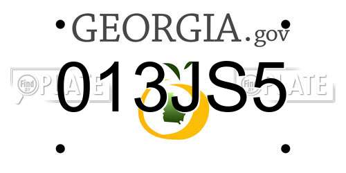 013JS5 Georgia License Plate