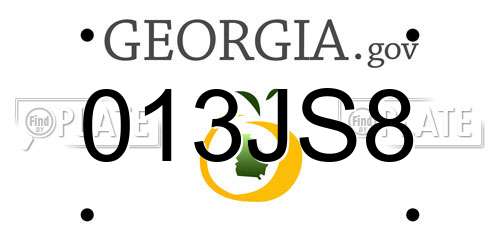 013JS8 Georgia License Plate