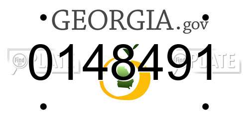 0148491 Georgia License Plate