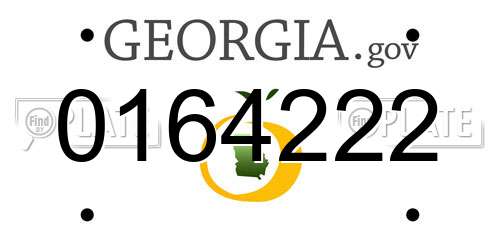 0164222 Georgia License Plate