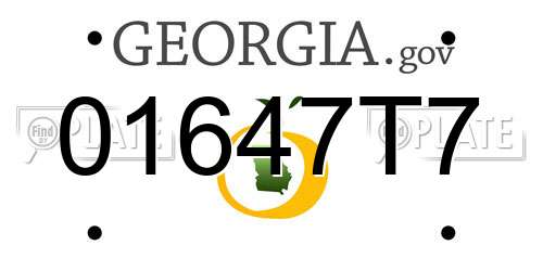 01647T7 Georgia License Plate
