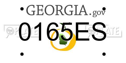 0165ES Georgia License Plate