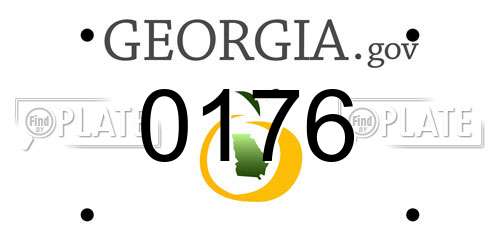 0176 Georgia License Plate