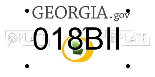 018BII Georgia License Plate