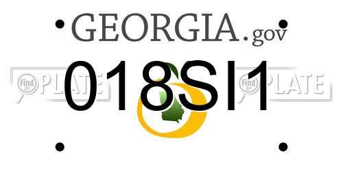 018SI1 Georgia License Plate