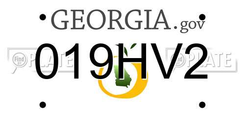 019HV2 Georgia License Plate