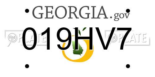 019HV7 Georgia License Plate