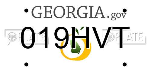 019HVT Georgia License Plate
