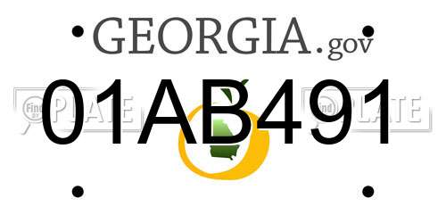 01AB491 Georgia License Plate