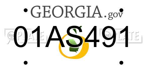 01AS491 Georgia License Plate