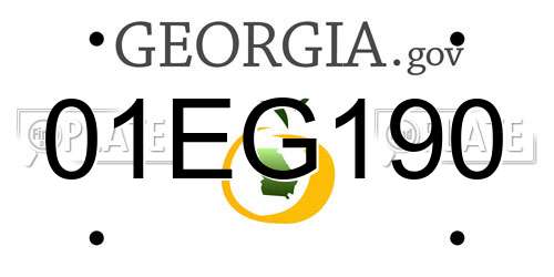 01EG190 Georgia License Plate
