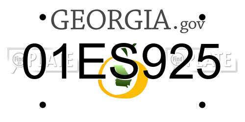 01ES925 Georgia License Plate