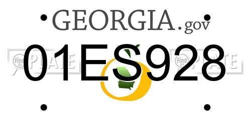 01ES928 Georgia License Plate