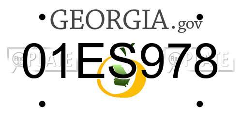 01ES978 Georgia License Plate