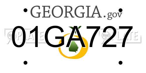01GA727 Georgia License Plate
