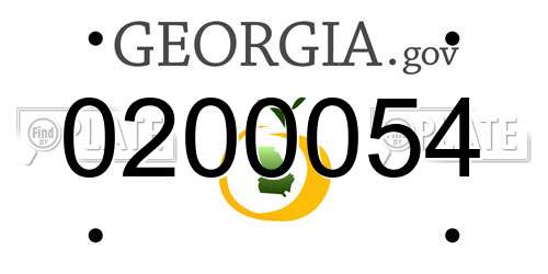 0200054 Georgia License Plate