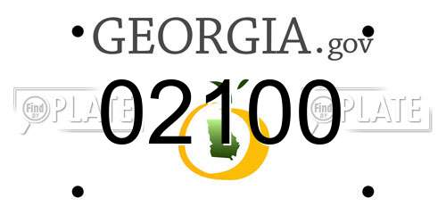 02100 Georgia License Plate
