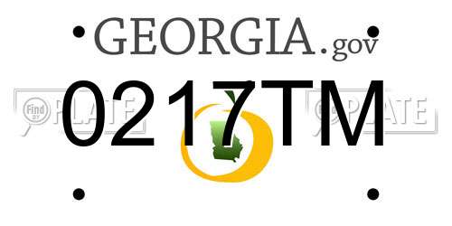 0217TM Georgia License Plate
