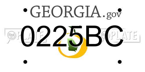 0225BC Georgia License Plate