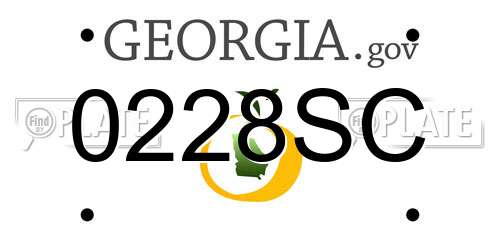 0228SC Georgia License Plate