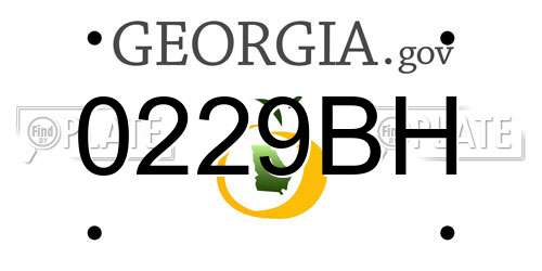 0229BH Georgia License Plate
