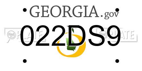 022DS9 Georgia License Plate