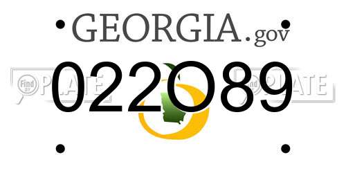 022O89 Georgia License Plate