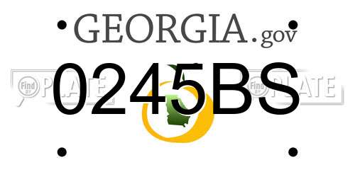 0245BS Georgia License Plate