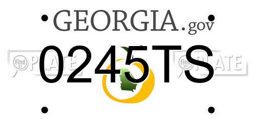 0245TS Georgia License Plate