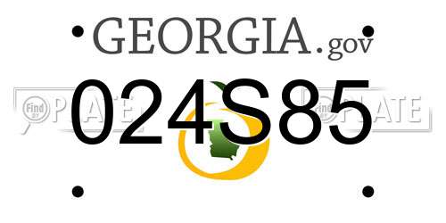 024S85 Georgia License Plate